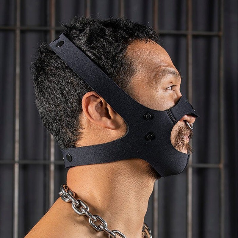 Neo face muzzle head harness