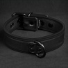 Halsband Neo Bold Puppy Collar Schwarz 11859 1