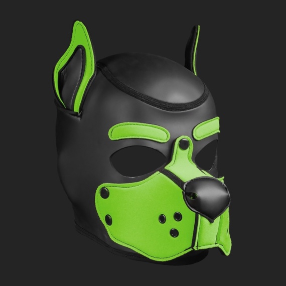 Neoprene K9 Hood Lime 14852