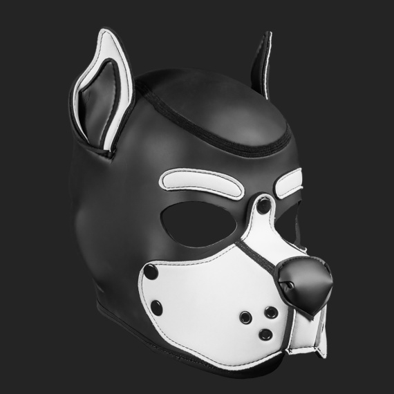 Neoprene k9 hood Blanco 14854