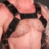 Leather harness Trojan silver 16207 1