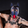 Head Harness NEO WOOF Azul 17776 1