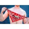 Bandana Neck Hanky mit Reißverschlusstasche 21143 1