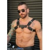 Back Alley Bulldog Harness 22264 1