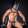 Neoprene K9 Hood Grey 22815 1