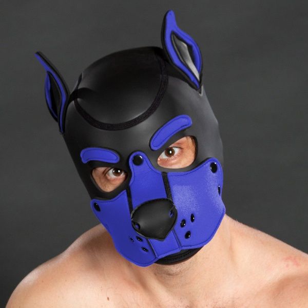 Neoprene K9 Hood Cobalt blue 22818