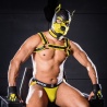 Neoprene k9 hood Amarillo 22826 1