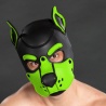 Neoprene K9 Hood Lime 22855 1