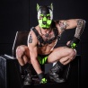 Neoprene K9 Hood Lime 22857 1