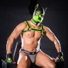 Neoprene K9 Hood Lime 22858 1