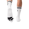 Sk8erboy Calcetines PUPPY blancas 25546 1