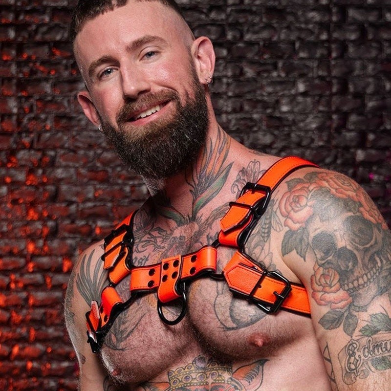 Dark room bulldog harness