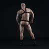 Elastic harness with suspenders for jockstrap 27039 1