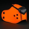 Neo K9 Muzzle + Head harness 27403 1