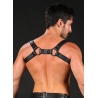 Cadet Shoulder Harness 27465 1