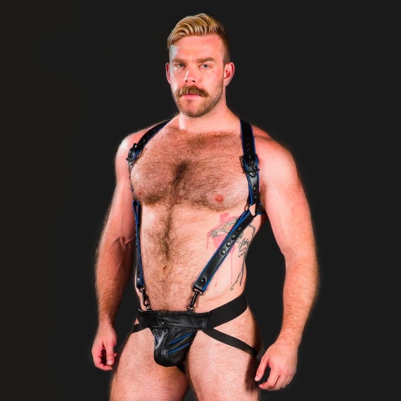 Hunter Harness Blue 27485