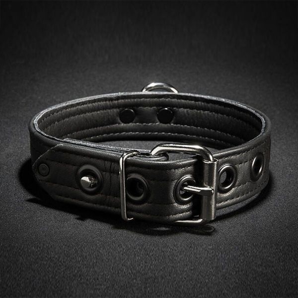 Leather Puppy Collar with D ring 27889