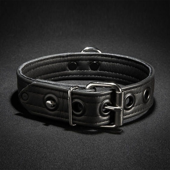 Leather Puppy Collar with D ring 27889