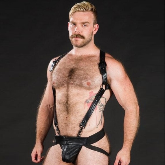 Hunter Harness Black 28615