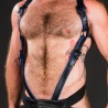 Hunter Harness Blue 28625 1