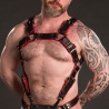 TROJAN Body Harness red 28707 1