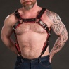 TROJAN Body Harness red 28708 1