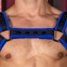 Neo Carbon Bulldog harness Black/Blau 28717 1