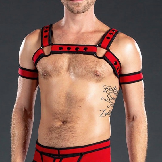 Neo Bold Bulldog Harness Red 28834