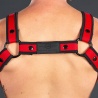 Neo Bold Bulldog Harness Red 28837 1