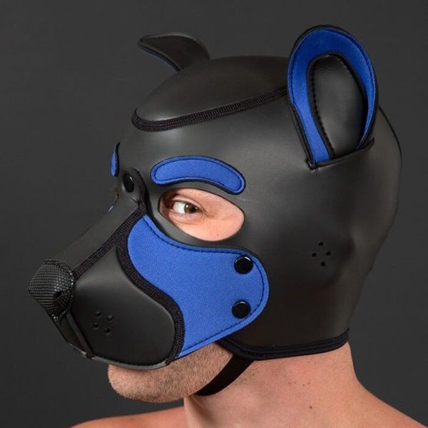 NEO FRISKY Puppy Hood Bleu Royal 32365