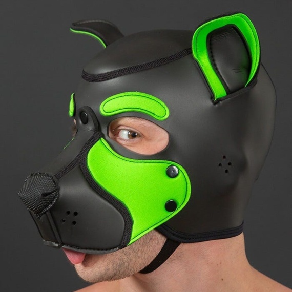 NEO FRISKY Puppy Hood Lime Grün 32379