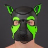 NEO FRISKY Puppy Hood Green Lime 32380 1