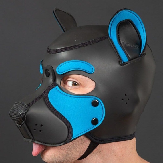 NEO FRISKY Puppy Hood Aqua 32391