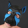 NEO FRISKY Puppy Hood Aqua 32394 1