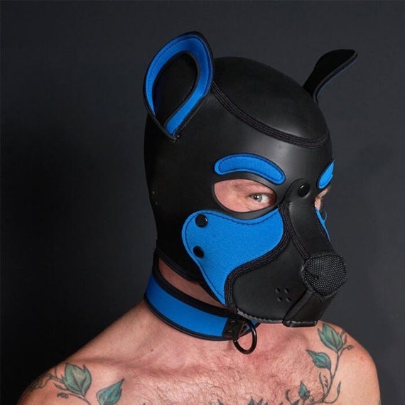 NEO FRISKY Puppy Hood Cobalt 32399