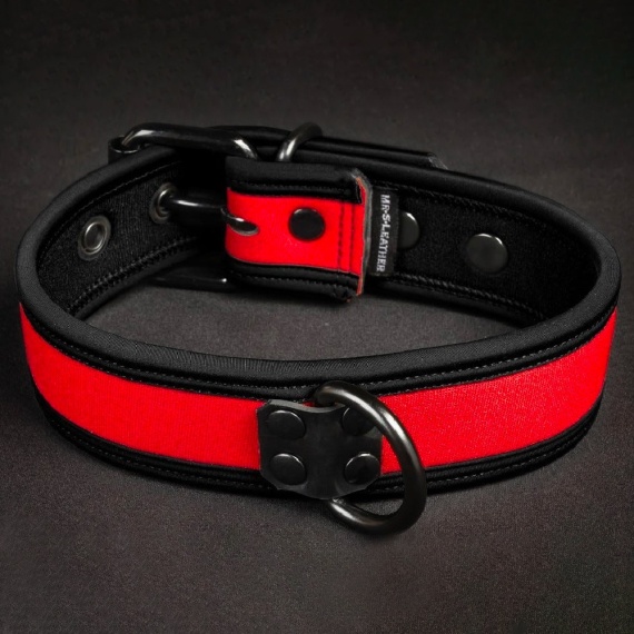 Neo Bold Puppy Collar Rojo 35955