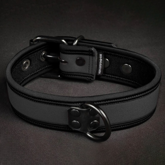 Neo Bold Puppy Collar Grey 35957