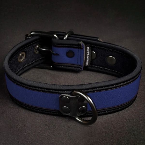 Neo Bold Puppy Collar Royal azul 35959