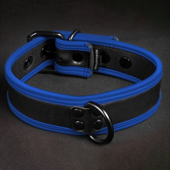 Neo Puppy Collar Negro Azul 35962