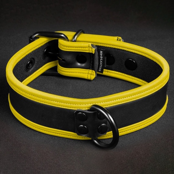 Néo Puppy Collar Noir Jaune 35963