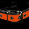 Halsband Neo Bold Puppy Collar Orange 35969 1