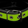 Neo Bold Puppy Collar Lime 35975 1