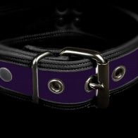 Neo Bold Puppy Collar Lila 35976 1