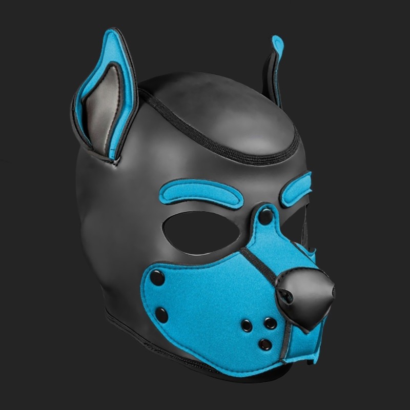 K9 hood aqua