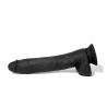 Aron Ridge Realistic Dildo Kit 25cm 10" 41484 1