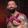 Dark Room Bulldog Harness Pink