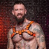 Dark Room Bulldog Harness Orange