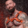 Arnés Room Bulldog Harness Naranja