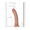 Curved Realistic Dildo W/ Balls 20,5cm - 8"