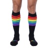 PRIDE 24 KNEE HIGH SOCK